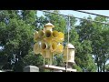 3T22 Tornado Siren Test - La Grange, KY