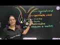 Human Reproduction 02 | Male Reproductive System | Class 12th/CUET