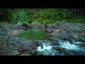 Mountain Stream Therapy Sounds for Deep Sleep, Meditation, Relaxation