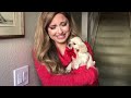 Christmas Puppy Surprise (Love Actually style)
