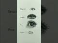 How to Draw a Realistic Eye | #shorts #art #drawing #viral #tutorial #eye