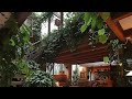 Transform Your Home - The Indoor Garden House Design