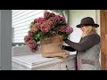 Everything you NEED to know about HYDRANGEAS ~ Home Decorating Ideas ~ Affordable Home Decor