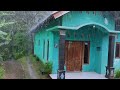 Beautiful Rain in Rural Indonesia || Time to Get Rid of Stress and Insomnia with the Sound of Rain