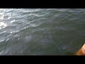 Mid-October, waves, lake, relax, Russia