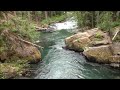 Silver Falls Loop trail and Grove of the Patriarchs trail - Mt Rainier National Park