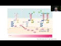 Therapies Exploiting Resistance of BRAF-mutant Thyroid Cancers with Dr. Fagin