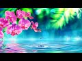 Musique Relaxante au bord de la rivière - Beautiful Relaxing Music/Natural Sound of Water