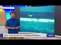 Surfing History in San Diego | News 8 Throwback Special