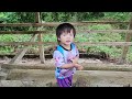 Single father cleans up and repairs an abandoned farm in the forest