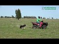 WORKING DOG TRAINING ONLINE - Extended Outrun Training Using the Four Wheeler as a Tool