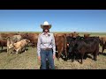 Women in Ranching - Pueblo, Colorado