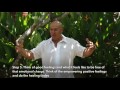 Forest Rock Qigong | How to do the Healing Codes | presented by Qi Gong Master Teacher Peter Caughey