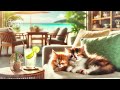 Healing Piano Jazz Work BGM Cafe Healing Relaxing Bossanova chill【Relaxing Cat Chord】