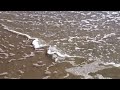 Take It - It's FREE - Ocean Sea Waves At Seafront Video Download