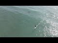 HYDROFOIL SURFING - DEL MAR, CA