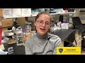 Day in the Life of a Graduate Student: Medical Microbiology and Immunology (MMI) Track