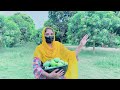 Mango Orchard ||mango garden|| my first vlog on yummy mangoes