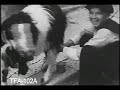 Malta in 1933 b&w.wmv