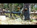 Slow Motion Squirrel Chase...With Music