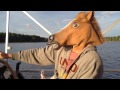 Horse On A Boat
