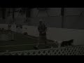 KKAC Agility 100814 ExcA JWW Cooper