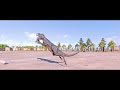 Goat Hunting Animations of All Dinosaurs & Flying Reptiles in San Marie 🦖 Jurassic World Evolution 2