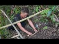 Ep5: WILD BOAR | Bamboo Cage for WILD BOAR | SURVIVAL SHELTER alone in a CAVE