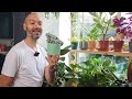 Join Me On A Relaxing Tour Of My Plants