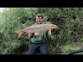 BARBEL FISHING| The most barbel I've EVER CAUGHT!