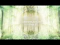 Conversations with The Z’s: The Energetics of the New Human Soul - Part 4