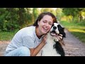 Border Collie Vs Australian Shepherd Differences - Which Breed Is Better?