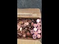 Brinks type company Hoarding copper pennies  all pre 1981