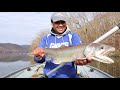 How to Catch Lake Trout in CT - Possible State Record?