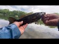 Fishing For Smallmouth Bass On The Delaware River ( HAPPY 4th Of July!! ) 2024