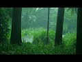 Rain in the forest path（2）, forest wooden house, sleep, relax, meditate, study, work, ASMR