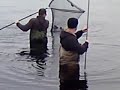 Pike caught in Scottish Loch