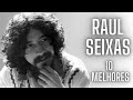 RAUL SEIXAS - TOP 10 MELHORES MÚSICAS