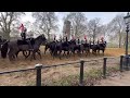 Incident at Hyde Park #uk #london #hydepark #england #horse #horses