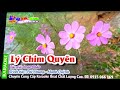 04 - LÝ CHIM QUYÊN- Mời đào song ca