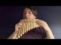 Donkey kong country tv show - Im nobody’s hero on panflute