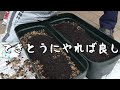 韓国で蘭の専門家として活動しているお父さんが初めて日本の胡蝶蘭を見た反応