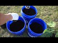 How To Make Potting Mix For Container Gardening