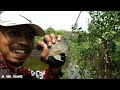 Spot Baru Gacor Banget!!! Mancing Di Tambak Marunda || Terbaru