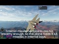 (FLYOUT) This airplane is INVISIBLE on radar!