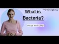 What is Bacteria? |Biology Definitions