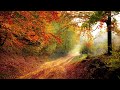 Relaxing Musik || Indian Music for Yoga || Meditation Music