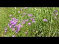 🇵🇱 For sheep's cheese through the Pass under the Peasant, and to wonderful panoramas