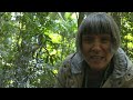 Fascinating Fungi Part 1 - The Wood Wide Web with Dr Sandra Tuszynska