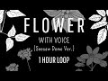 BTS - Flower (SUGA - Seesaw Demo Ver.) 1 HOUR LOOP [Corrakxx]